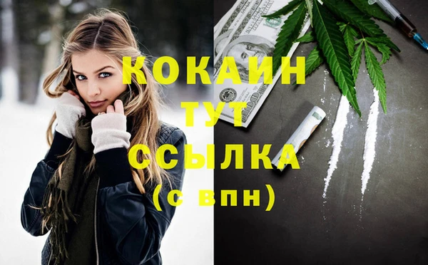 соль ск Шали