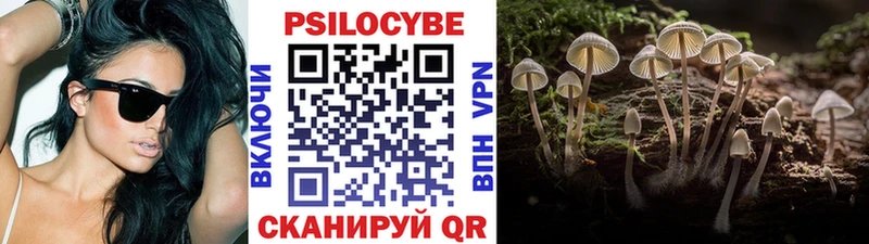 Галлюциногенные грибы Cubensis  hydra tor  Красный Холм 